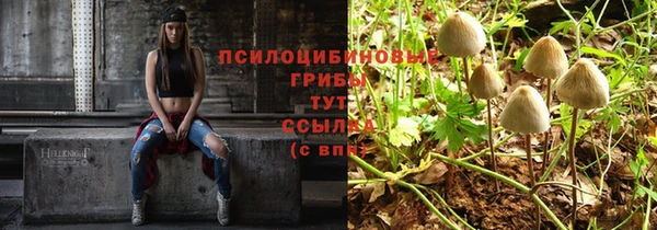 мет Баксан