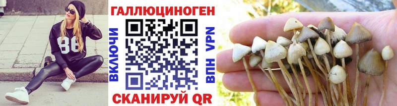Псилоцибиновые грибы прущие грибы  где купить   Лагань 